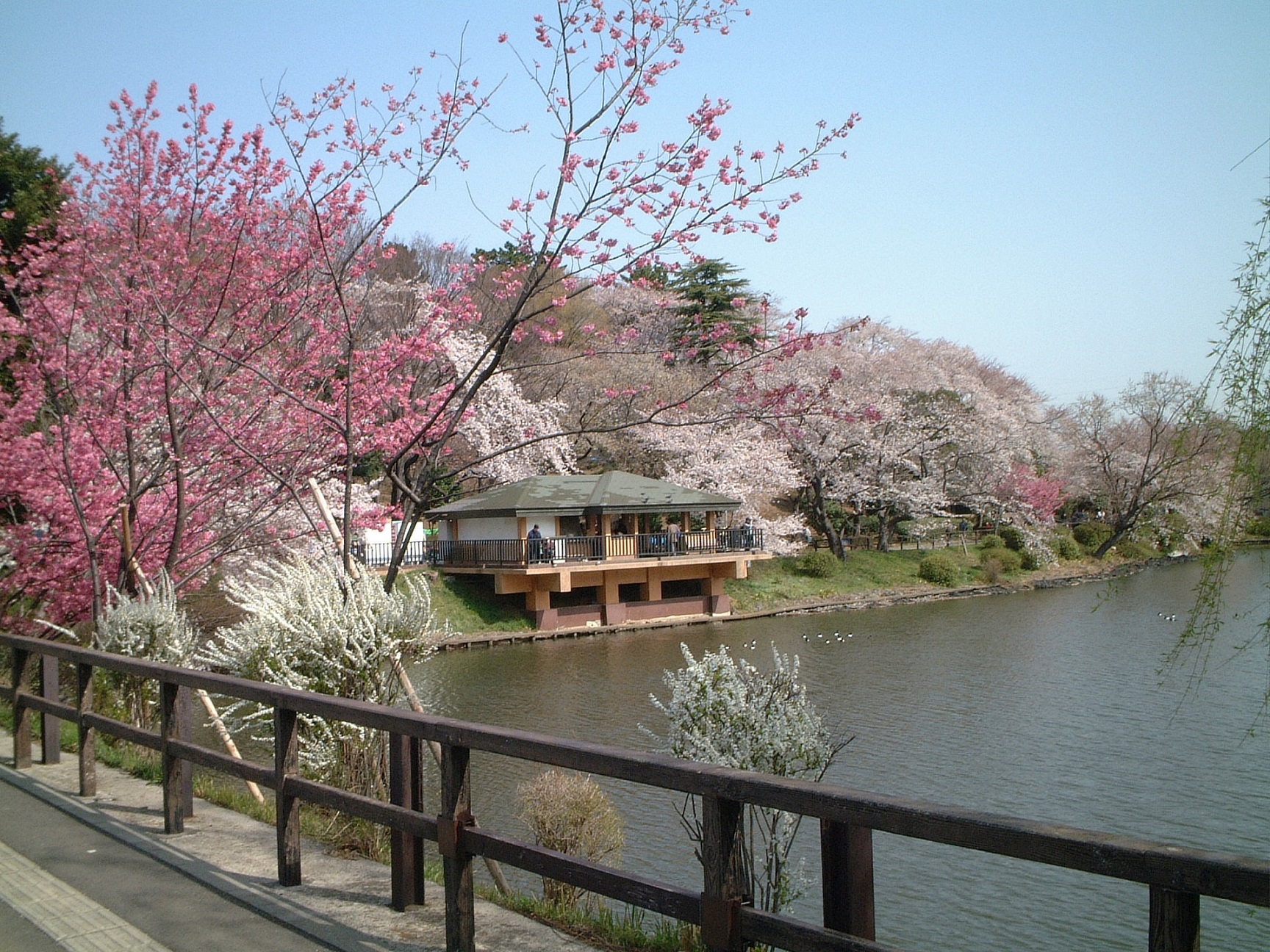 三ツ池公園【横浜市】